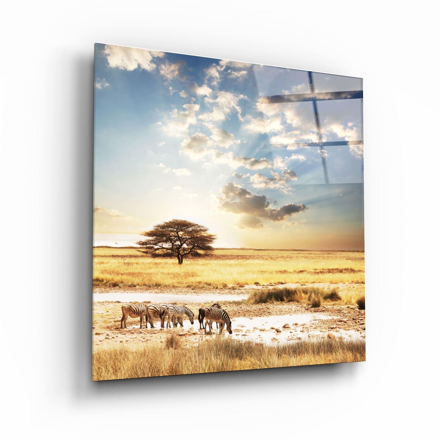 ・"Africa (Wide Meadow)"・Glass Wall Art - ArtDesigna Glass Printing Wall Art