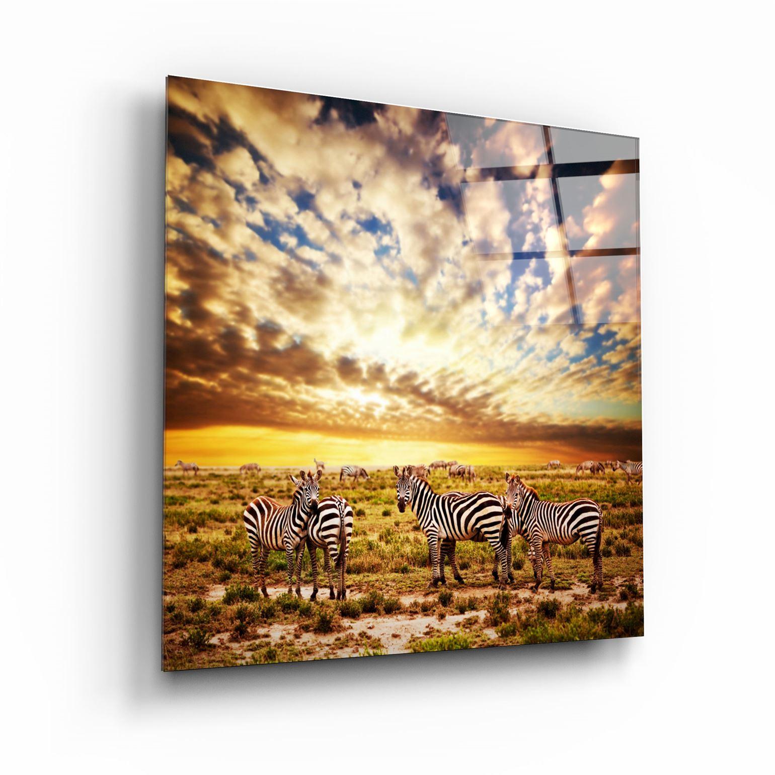 ・"Zebras"・Glass Wall Art - ArtDesigna Glass Printing Wall Art