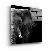 ・"Elephant"・Glass Wall Art - ArtDesigna Glass Printing Wall Art