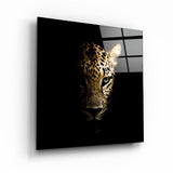Leopard: Whiskers of the Wild | Glass Wall Art