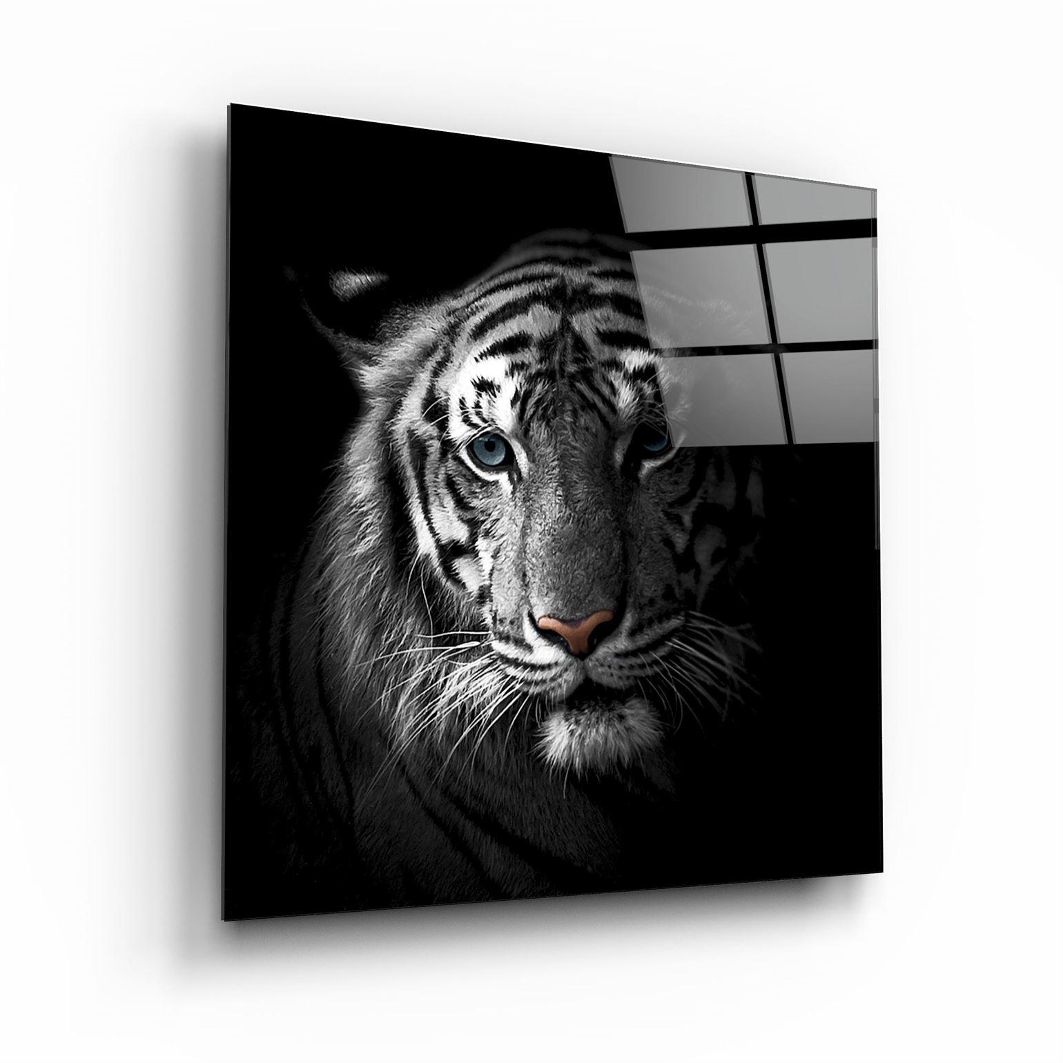 ・"Tiger"・Glass Wall Art - ArtDesigna Glass Printing Wall Art