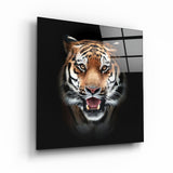 Tiger's Gaze | Glass Wall Art