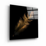 Colorful Feather | Glass Wall Art