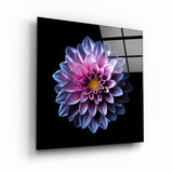 ・"Radiant Dahlia Bloom"・Glass Wall Art