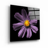 Violett-Rosa Blume – Glasbild