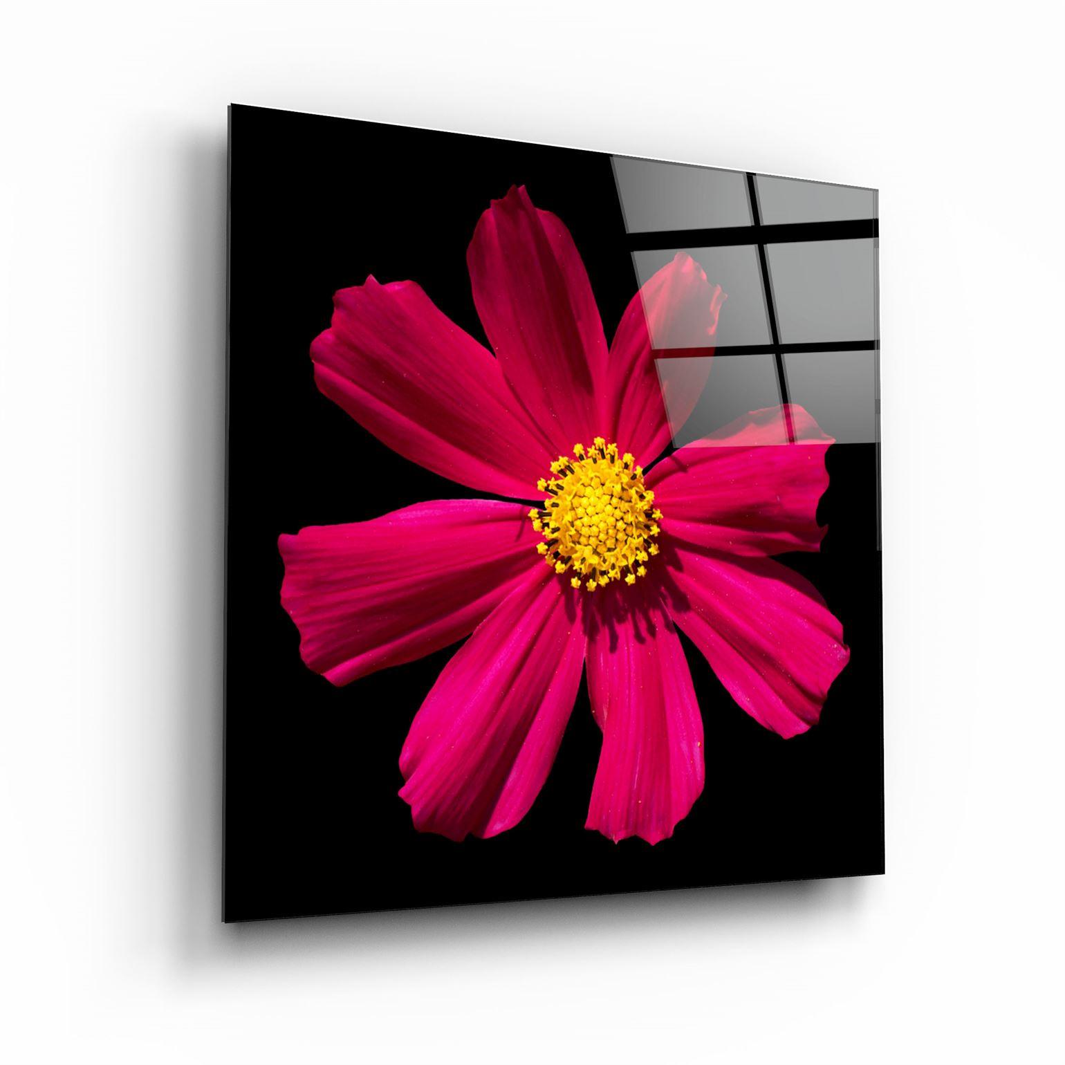 ・"Red flower"・Glass Wall Art - ArtDesigna Glass Printing Wall Art