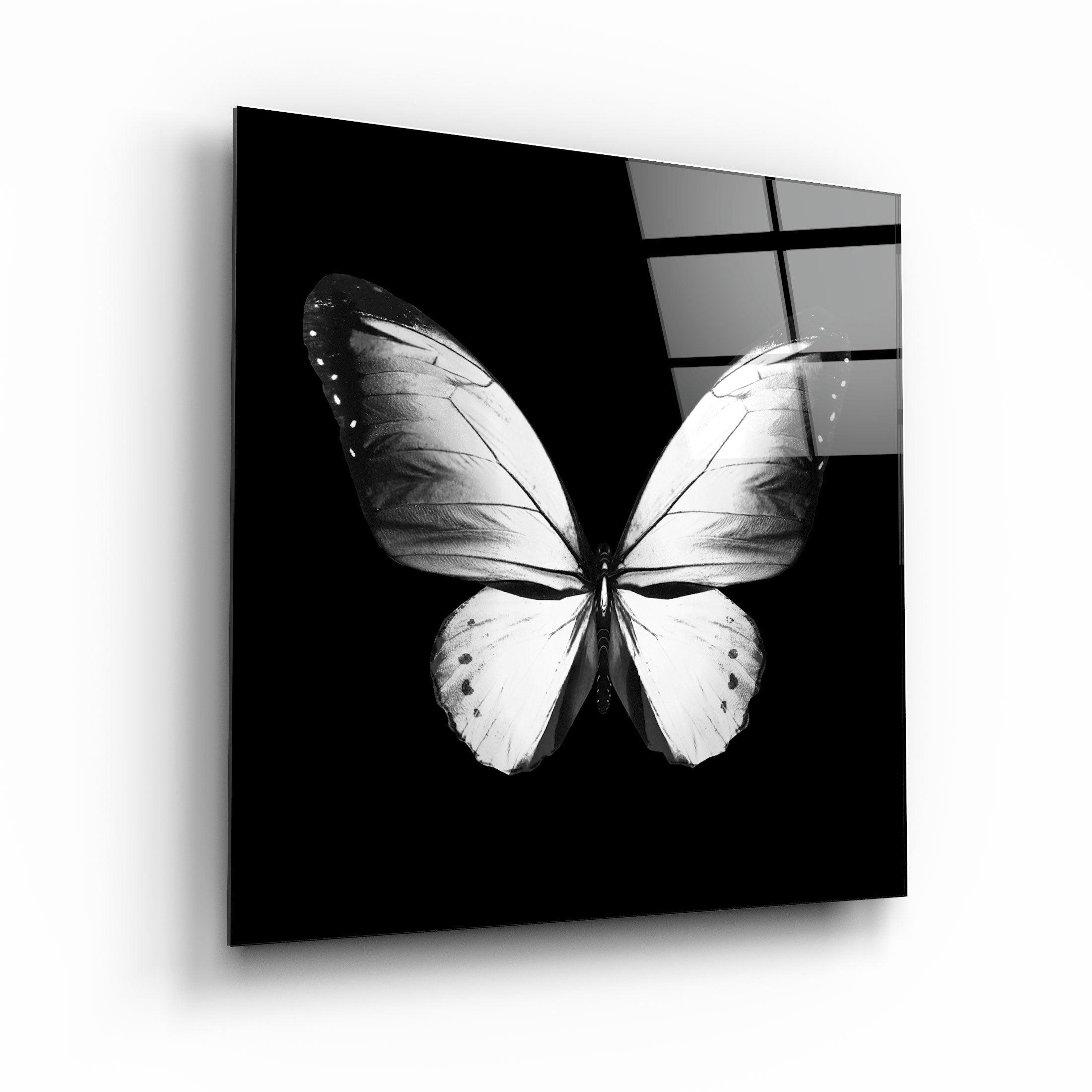 ・"Butterfly"・Glass Wall Art - ArtDesigna Glass Printing Wall Art