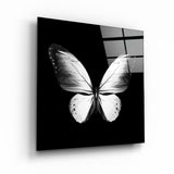 ・"White Butterfly"・Glass Wall Art
