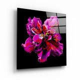 ・"Abstract Purple Flower"・Glass Wall Art