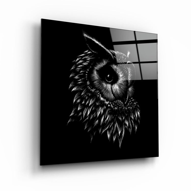 ・"Abstract Black Owl"・Glass Wall Art - ArtDesigna Glass Printing Wall Art
