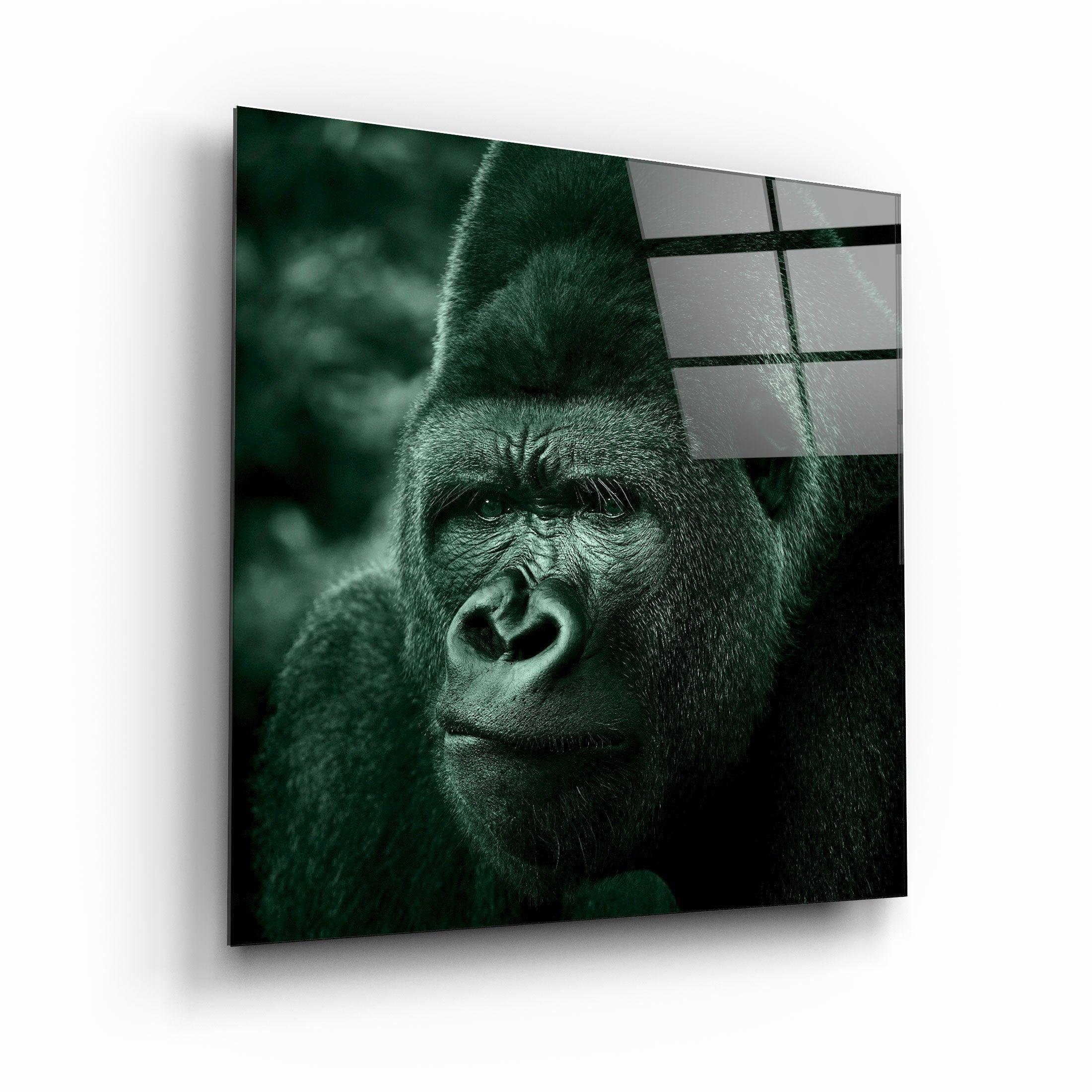 ・"Gorilla"・Glass Wall Art - ArtDesigna Glass Printing Wall Art