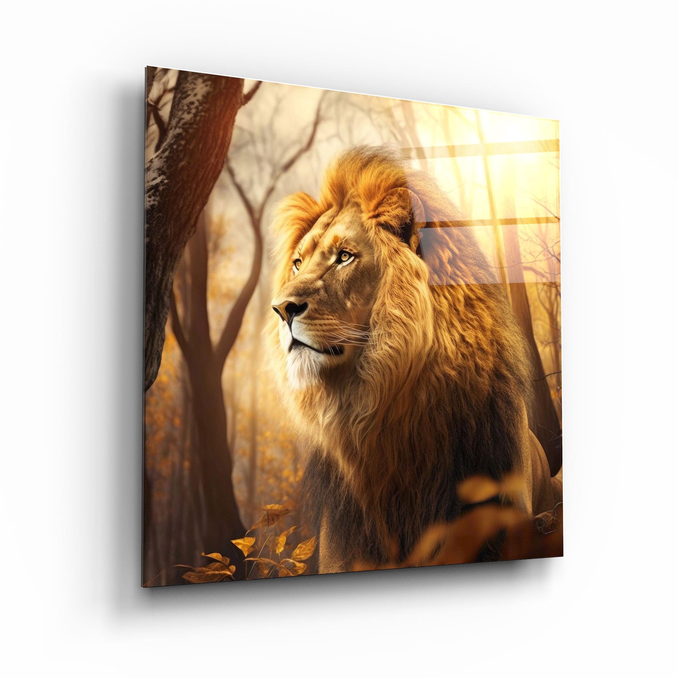 ."Fire Lord V2". Designers Collection Glass Wall Art - ArtDesigna Glass Printing Wall Art