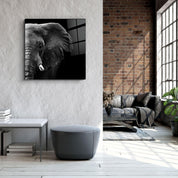 ・"Elephant"・Glass Wall Art - ArtDesigna Glass Printing Wall Art