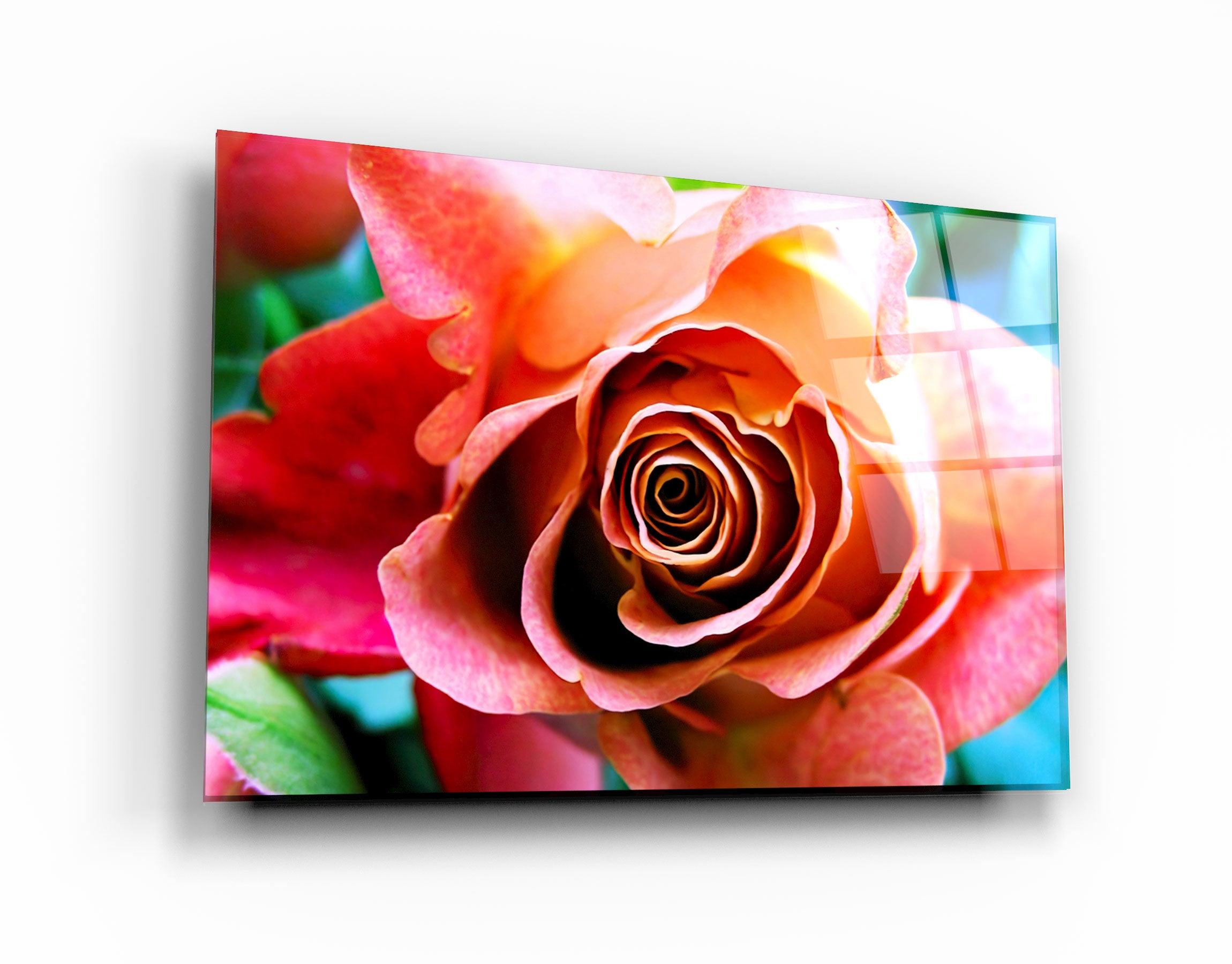 ・"Floribunda Rose"・Glass Wall Art - ArtDesigna Glass Printing Wall Art