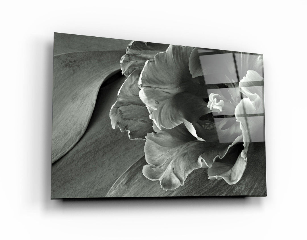 ・"White&Gray Flower"・Glass Wall Art - ArtDesigna Glass Printing Wall Art