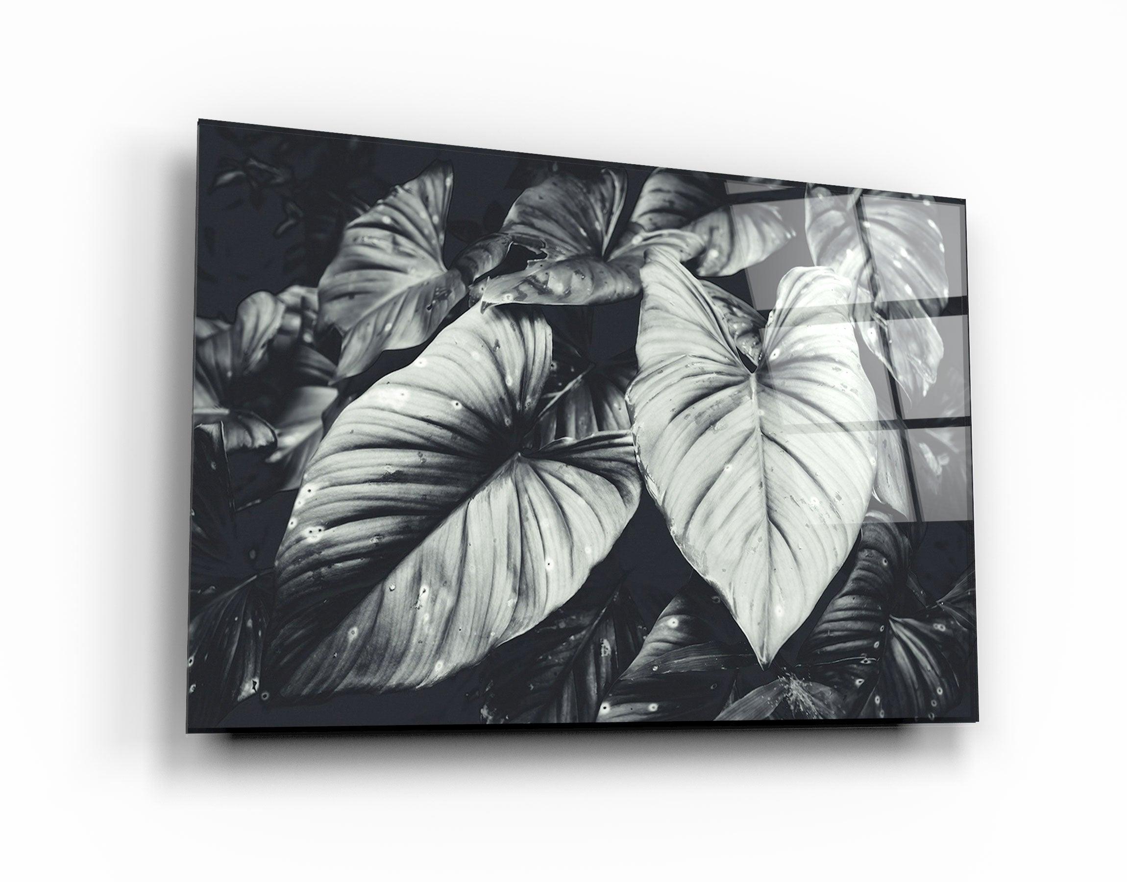 ・"Elephant's Ears"・Glass Wall Art - ArtDesigna Glass Printing Wall Art